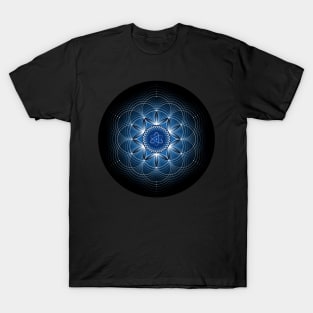 Metaphysics | Sacred geometry T-Shirt